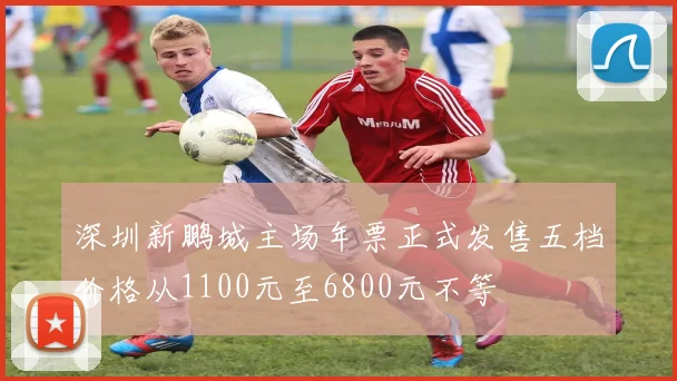 深圳新鹏城主场年票正式发售五档价格从1100元至6800元不等