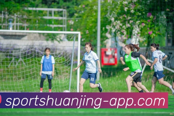 数据防护可视化